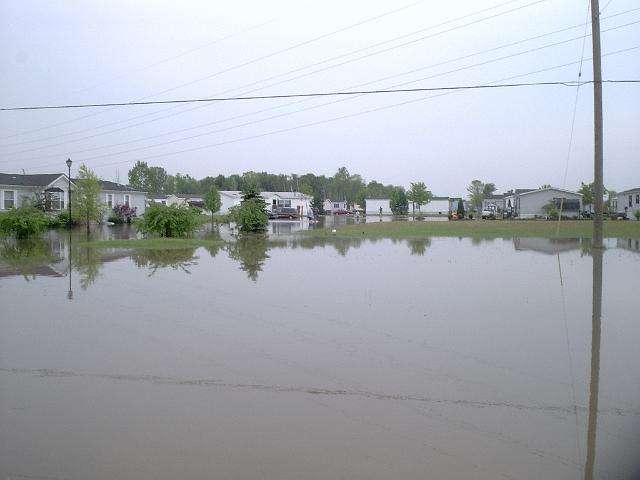 Picture 413.jpg